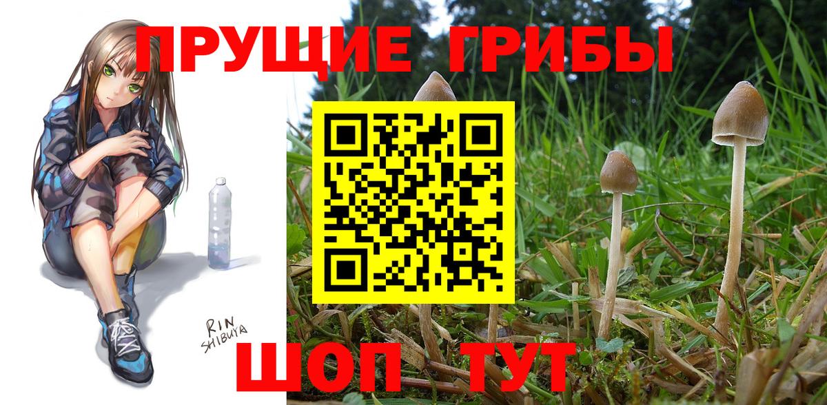 Псилоцибиновые грибы Psilocybe  Псилоцибиновые грибы Magic Shrooms  Вход с VPN  Магнитогорск 