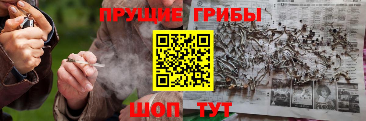 Псилоцибиновые грибы GOLDEN TEACHER Магнитогорск